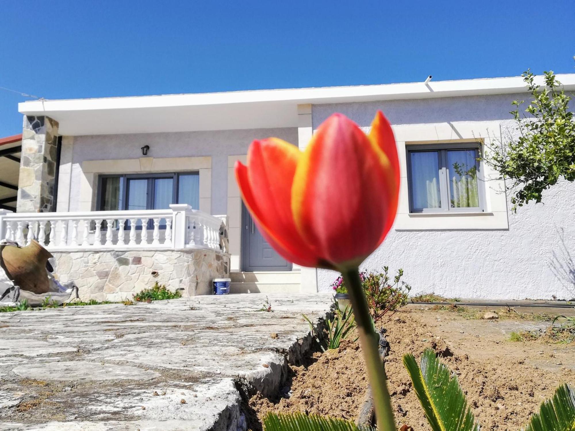 Grey House * Samos Town